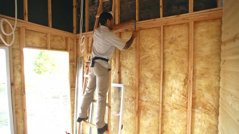 Best Radiant Barrier Insulation  in Brookneal, VA