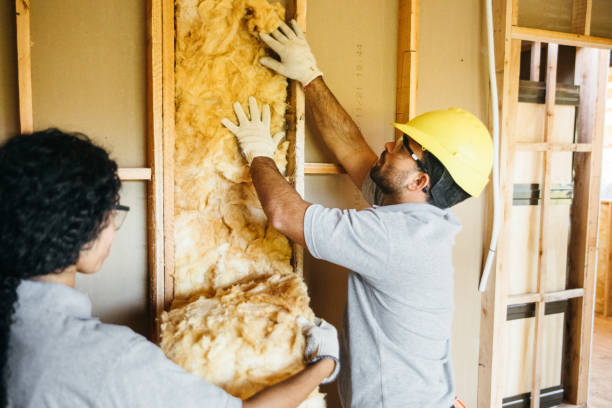 Best Blown-In Insulation  in Brookneal, VA