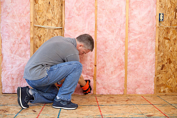 Best Eco-Friendly or Green Insulation Solutions  in Brookneal, VA